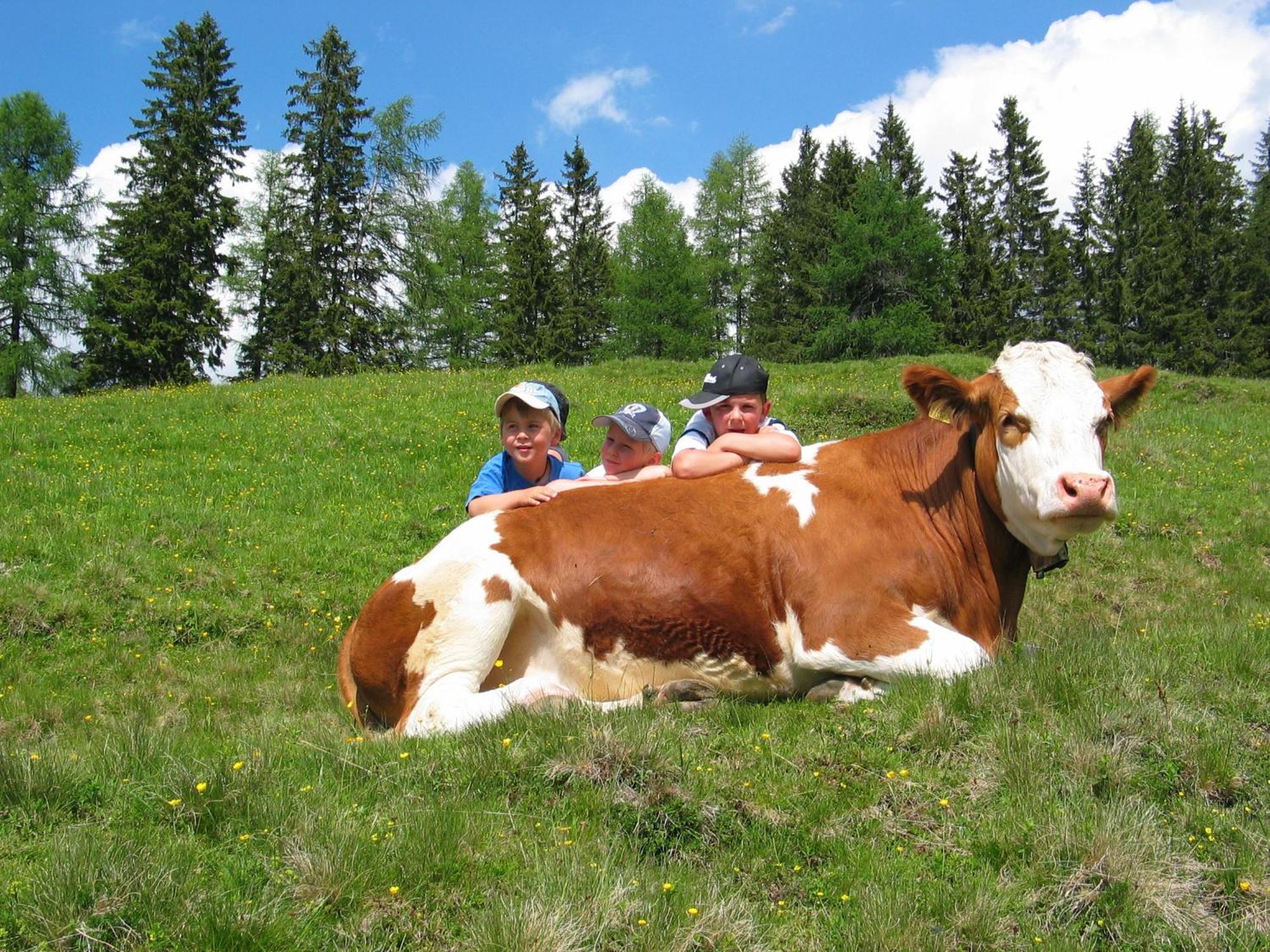 Sportbauernhof - Gasthaus Hochalmblick Krems in Kaernten エクステリア 写真